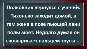Полковник Вернулся с Учений и Застал Дома Жену! Подборка Лучших Анекдотов Синего Предела