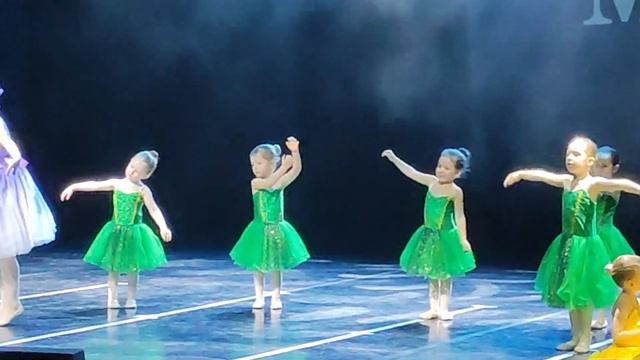 Балет с 2-з лет смотреть онлайн