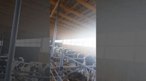 Агростартап Стоит ли брать? 2 часть #налоги #отчеты #бух