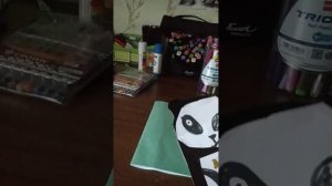 Моя канцелярская панда Ластик