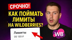 ЛОВИМ ЛИМИТЫ на СКЛАДАХ Wildberries. Как поймать слоты на поставку?