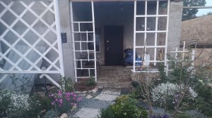 Шпалера женскими руками. Часть 2.