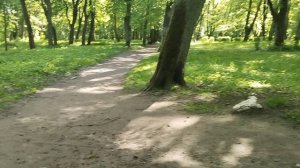 поехали в парк Гагарина