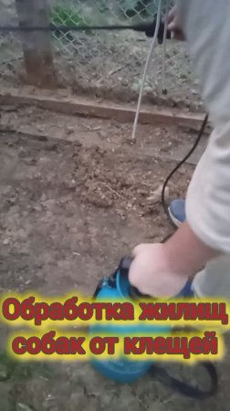 Краткий обзор как обрабатывали жилье у собак, полные видео смотрите позже.
Сейчас нужна глистогонка