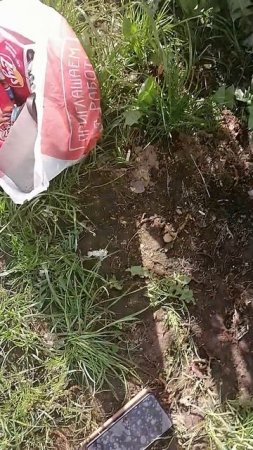 VID_20250524_173228.mp4