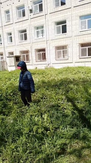 красивая релакс музыка для понимания