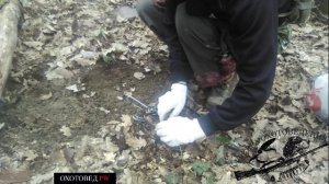 Установка ногозахватывающего капкана на шакала | кафедра охотоведения | охотовед.pw