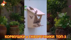 Кормушки и скворечники своими руками для птиц ТОП-3 (3) 🪚🪛🔨 Идеи для дачи и сада пошагово ❣️
