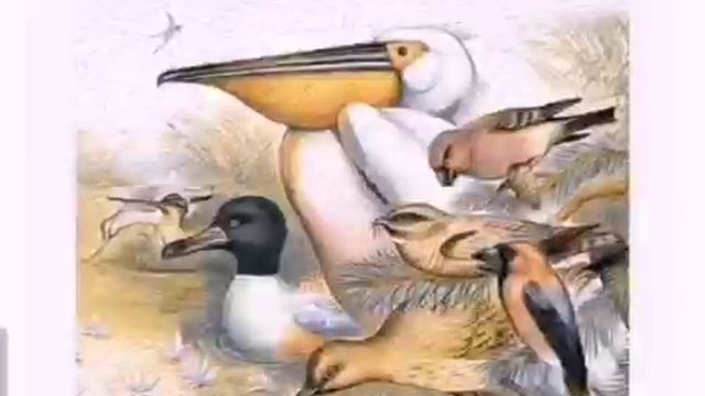 Аудиосказка. Чей нос лучше смотреть онлайн