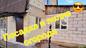 Купили домик в поселке, продали квартиру, живём на тихой улице,сажаем,поливаем огород)