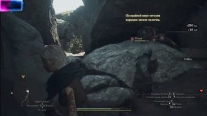 Как найти Роджа в квесте Dragon's Dogma 2 Добыча стаи