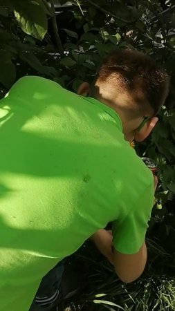 VID_20250524_172503.mp4