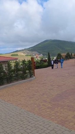 виноградники и винодельня в горах Новороссийска шато пино
