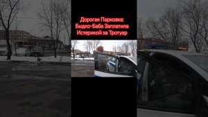 Дорогая Парковка: Быдло-Баба Заплатила Истерикой за Т?