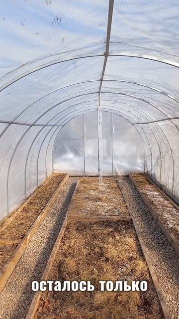 Грядки и дорожки в тепличке ✨ смотреть онлайн