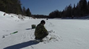 Не клюёт,но день шикарный