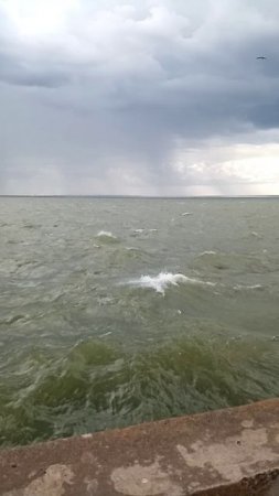 мой Б4