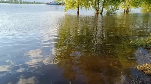 Затопило берега Камы, деревья в воде....