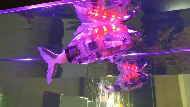 VID_20220817_131142