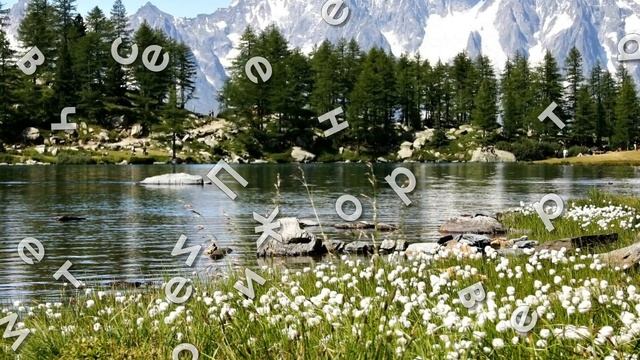 Весенние пожелания доброго утра и хорошего дня красив