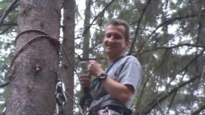 2011 РЭКС июнь лес