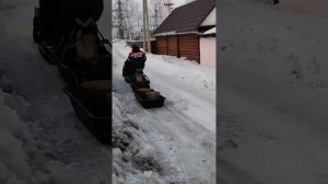 Мотобуксировщик Помор Крокодил в работе.