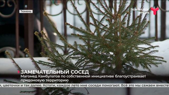 Замечательный сосед | Тюмень смотреть онлайн