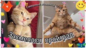 Смешные видео | приколы 2025