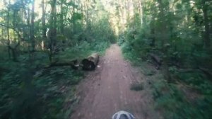 Быстрый обзор на BSE T5