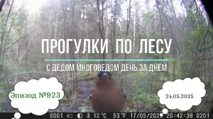 Прогулки по лесу. День за днем с дедом Многоведом. 24 мая 2025г. Эпизод 923.