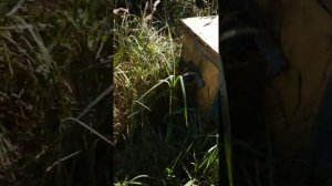 улей из досок Служба