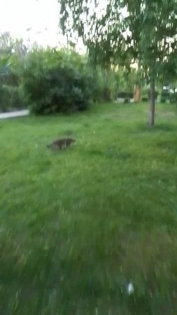 VID_20250524_204402.mp4