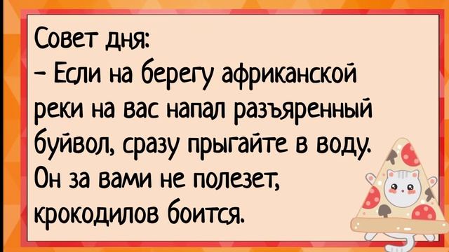 СЛЕПАЯ ЛОШАДЬ - анекдоты #1