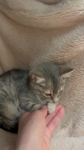 24-05-2025 смотреть онлайн