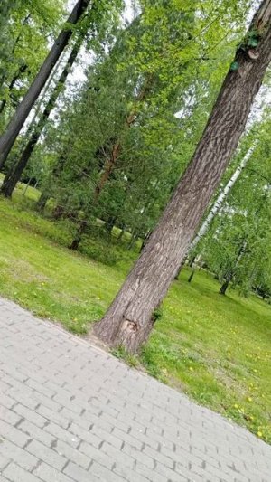 релакс