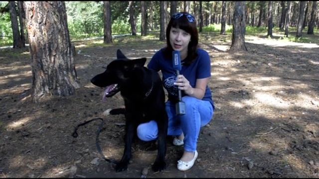 ЛАГЕРЬ СОСНОВЫЙ БОР УФСИН смотреть онлайн