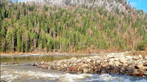 АЛТАЙ 1 часть