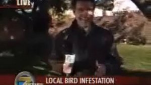 Птичка насрала в рот Юмор! Прикол! Смех