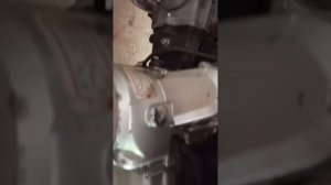 мопед альфа 50 см. куб. - продажа 953-961-65-91, цена 48000 руб.