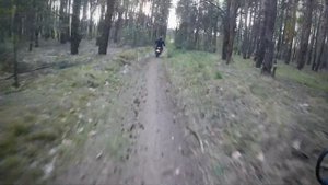 Брестские округи Minsk SCR 250
