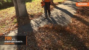 Аккумуляторная воздуходувка-пылесос DAEWOO DABL 9042Li c функ?