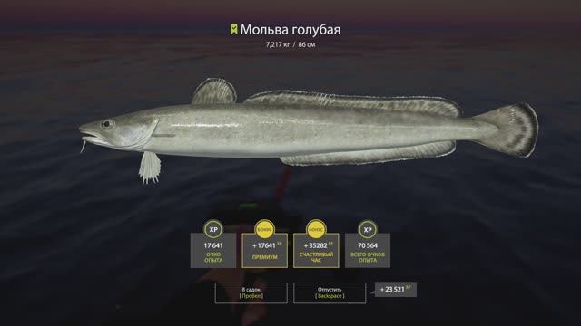 Русская рыбалка 4. Норвежское море. Мольва голубая смотреть онлайн