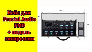 Кейс для Fractal Audio FM9 + педаль экспрессии. Custom made. Мастерская Велимир
