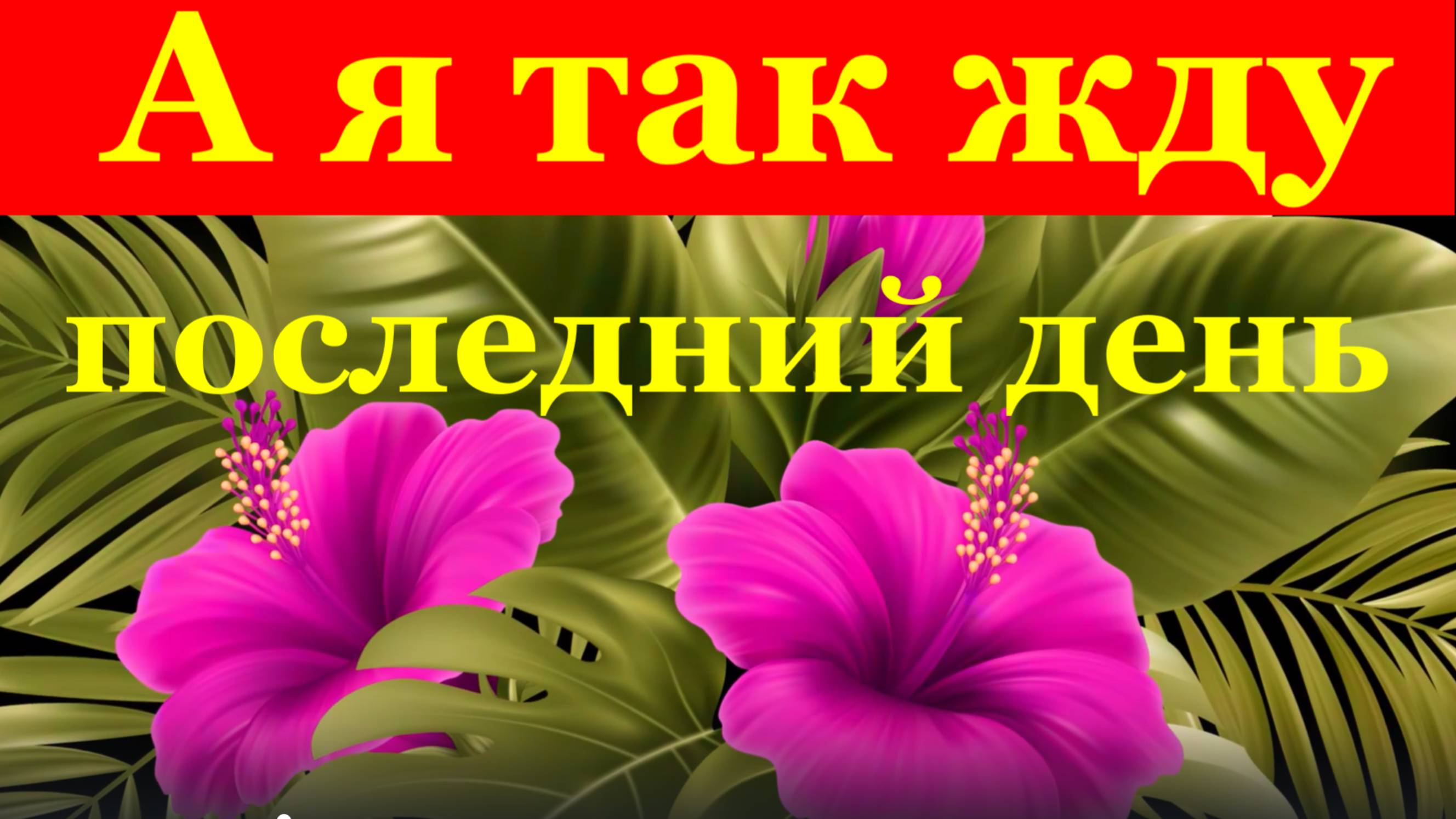 Песня А я так жду последний день Красивые песни популярные