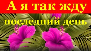 Песня А я так жду последний день Красивые песни