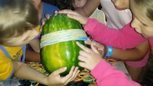 Вызов принят. Арбуз челлендж, взрываем большой арбуз резинками/The Great Watermelon Challenge