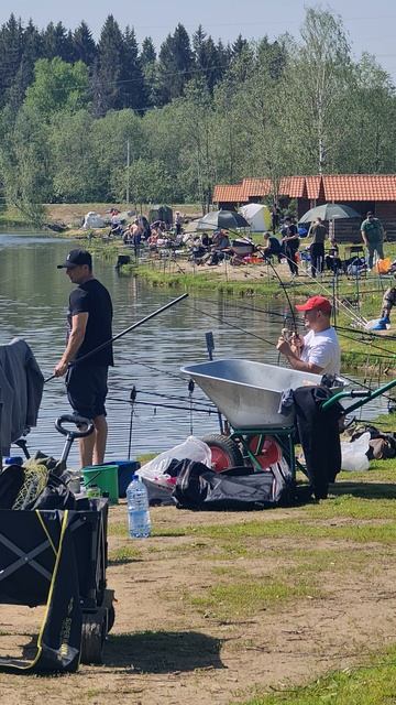 Сход смотреть онлайн