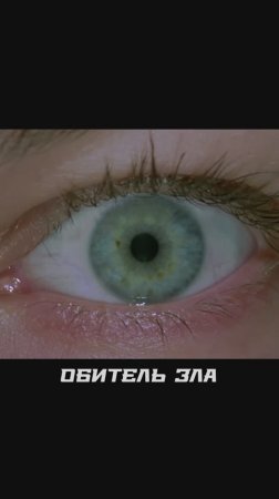 проснулась после конца света
