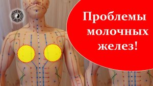 422 Молочные железы и точки на них 08