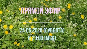 Анонс эфира 24.05.2025